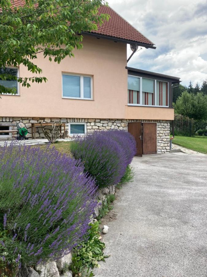 Ferienhaus Auszeit Natur 빌라흐 외부 사진