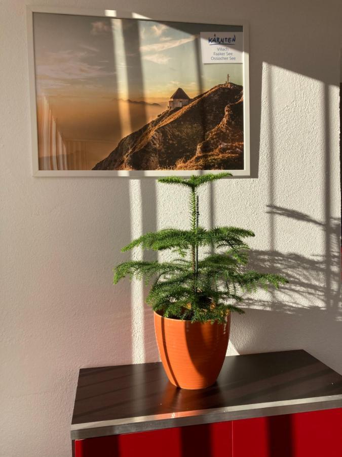 Ferienhaus Auszeit Natur 빌라흐 외부 사진